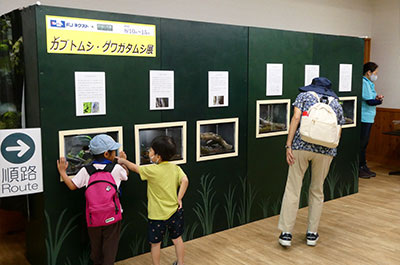 第11回 2022年8月10日~8月15日開催「夏休みカブトムシ・クワガタムシ展」
