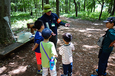 第14回 2025年8月2日~8月11日開催「夏休みカブトムシ・クワガタムシ展」