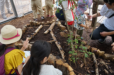 第14回　2025年8月2日～8月11日開催「夏休みカブトムシ・クワガタムシ展」