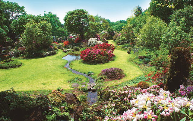 Akagi Nature Park