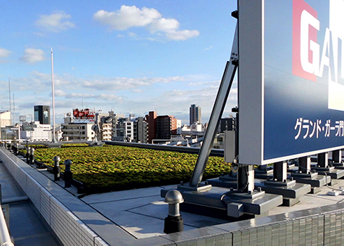 rooftop greening