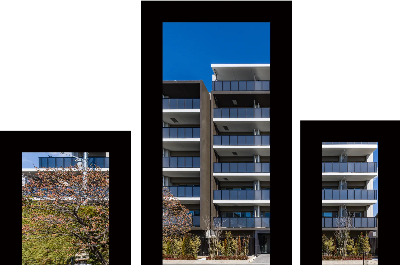 私たちの歩みとこれからを覗いてみませんか？