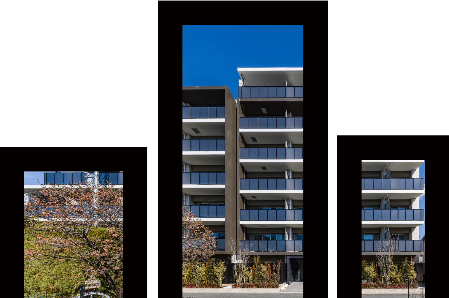 私たちの歩みとこれからを覗いてみませんか？